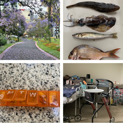 A four‑panel collage from the ‘Living with Young Onset Parkinson’s’ exhibition, featuring a jacaranda-lined park path, a row of freshly caught fish, a weekly pill organizer, and a bedroom with mobility aids. The images represent everyday moments and objects that reflect the lived experience of people with Young Onset Parkinson’s.